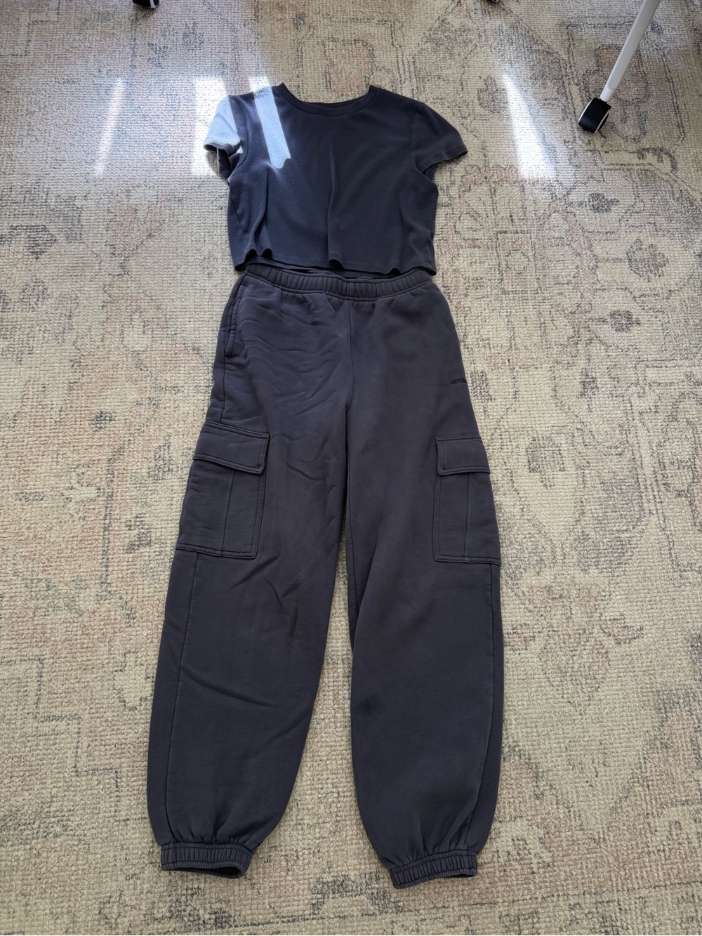 Aritzia Vintage Navy Cargo Sweatpants S + Crop T XL